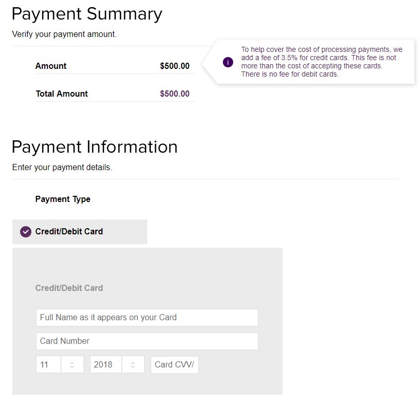 Customer Facing Payment Page Example 2