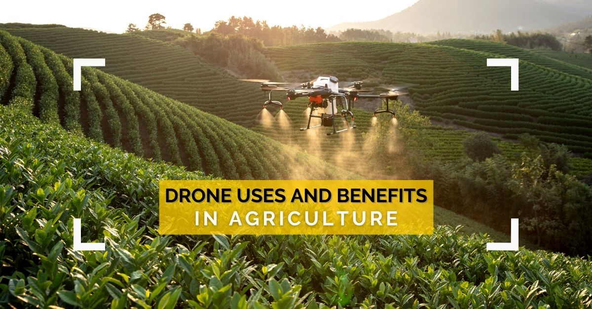 Drone Uses in Agriculture