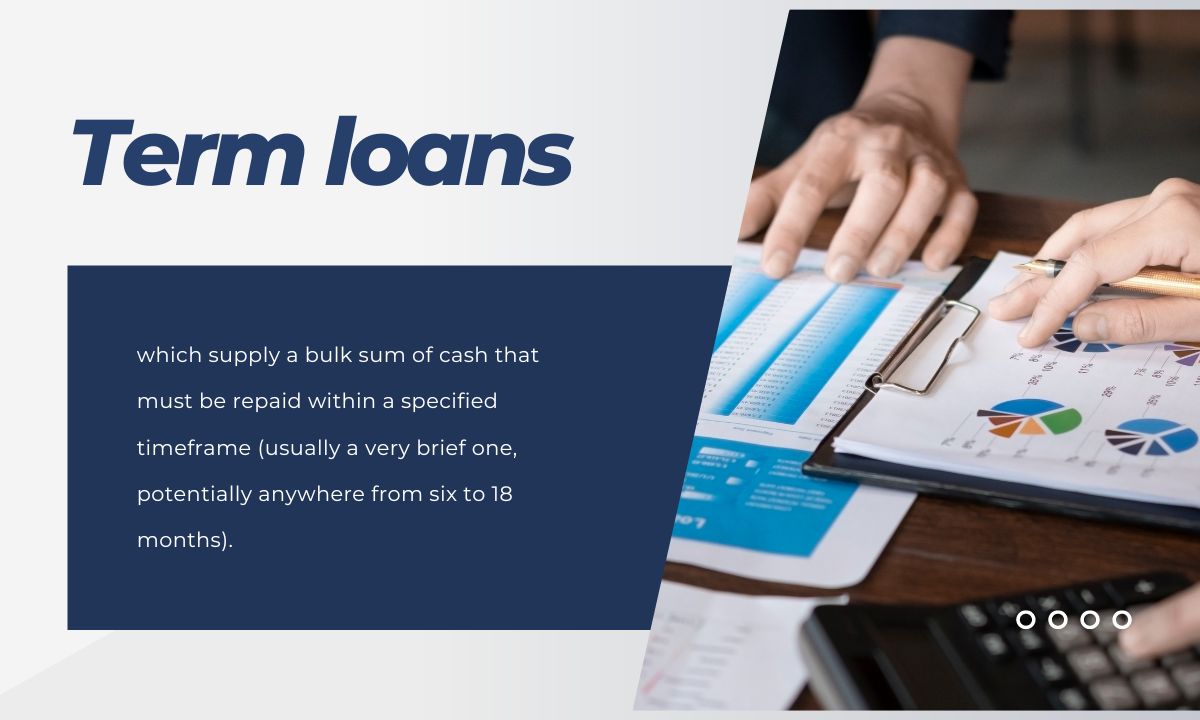 1. Term loans
