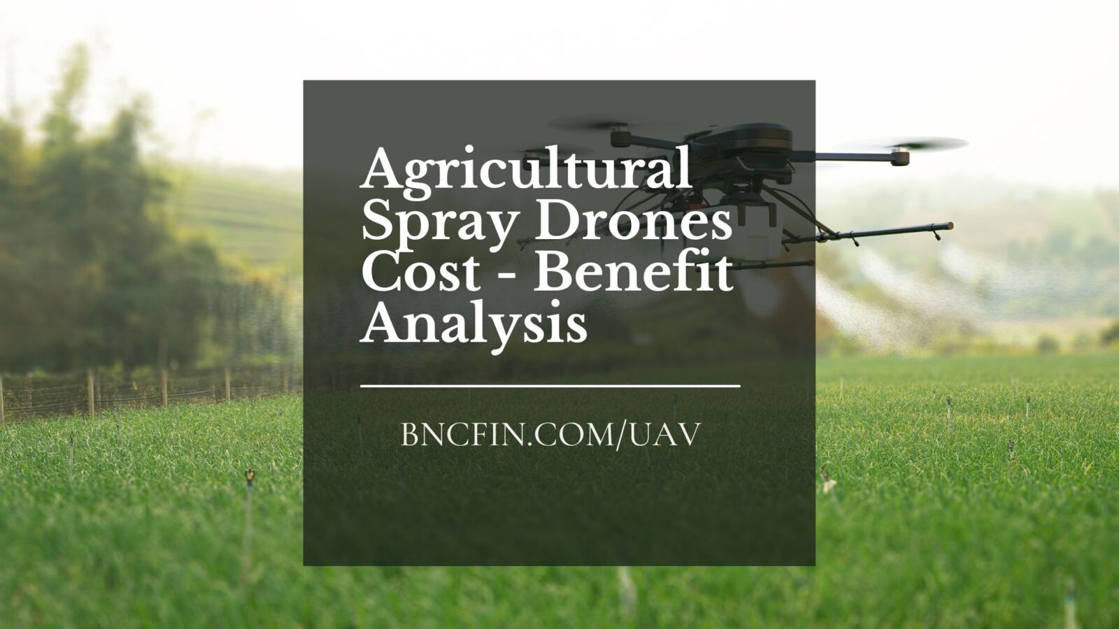 Agricultural Spray Drones Cost Benefit Analysis