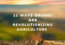 11 Ways Drones are Revolutionizing Agriculture